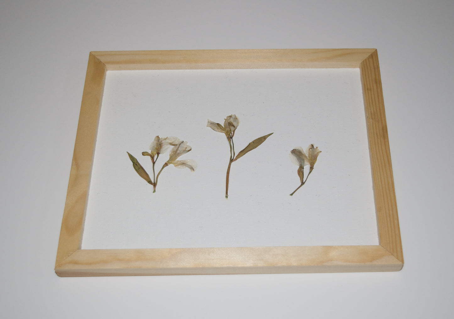 Dried Flower Modge Podge Canvas